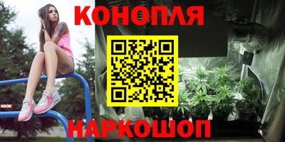 гидра Берёзовский