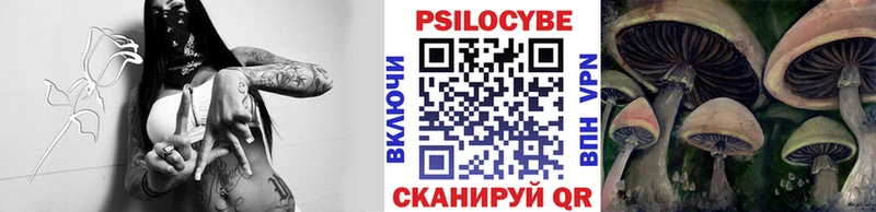 kraken ТОР  Беслан  Псилоцибиновые грибы прущие грибы  цена наркотик 