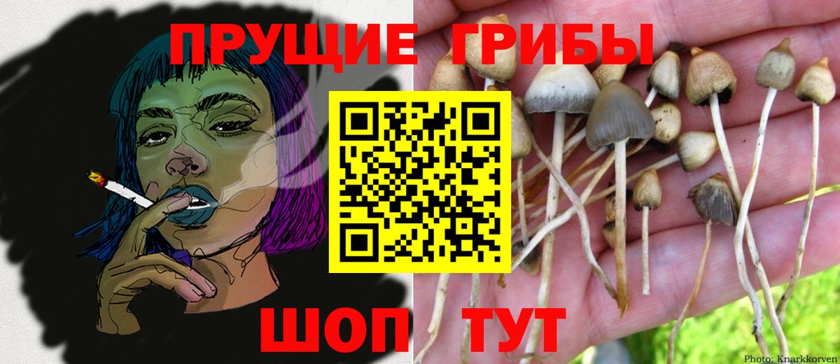 Галлюциногенные грибы MAGIC MUSHROOMS Беслан