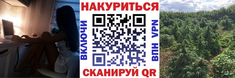 наркошоп  Беслан  Конопля AK-47 
